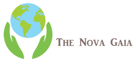The Nova Gaia